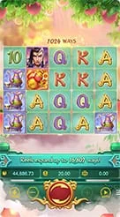 hokihoki · Lgd Monkey Kg